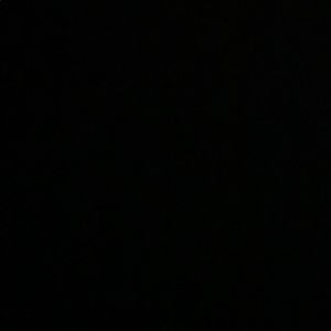 Meet your Posher, Bailey